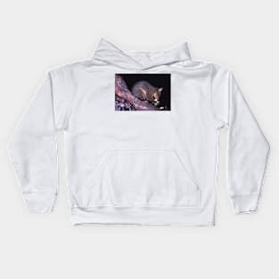 Possum Kids Hoodie